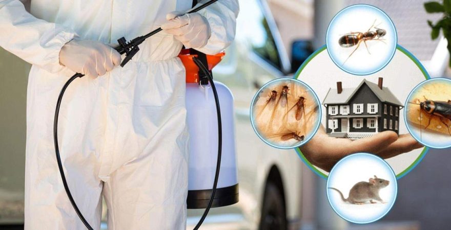 Sulusaray Böcek İlaçlama