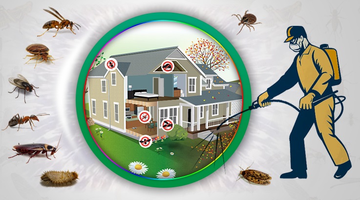 Sulusaray Böcek İlaçlama