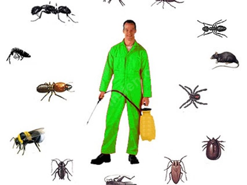 Sulusaray Böcek İlaçlama